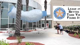 Leave It Better CC Mobile App "How To" screenshot 1