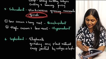 DENTITION IN MAMMALS | SEM 2 ZOOLOGY | OSMANIA UNIVERSITY | HUMERA