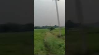 Nela Thalli Gudello.....