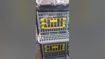 My review on my hatchingtime chick brooder and quail layer. Second year.