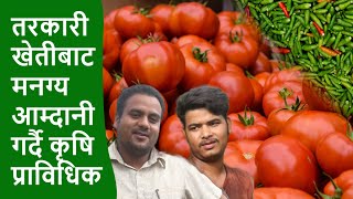 ३५ रोपनीमा तरकारी खेती गर्दै कृषि प्राविधिक | Tomato Farming in Nepal