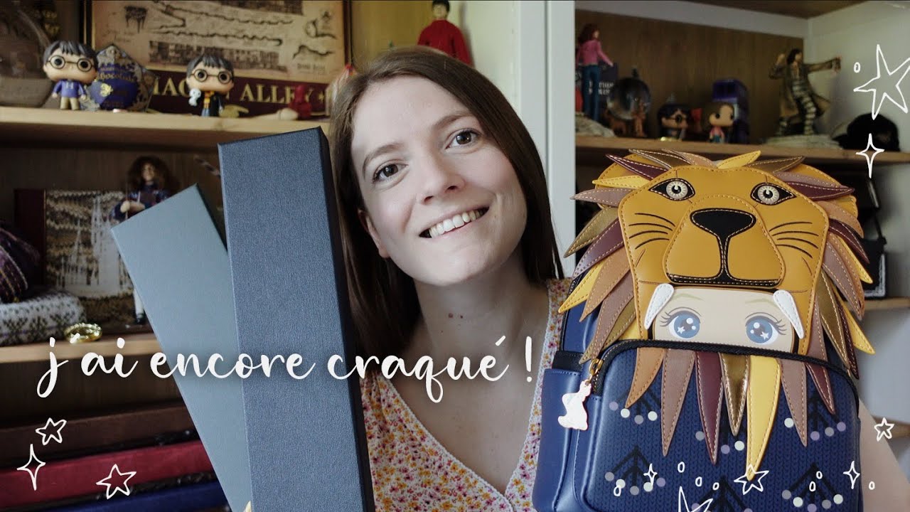 ÉNORME HAUL HARRY POTTER (Je suis en roue libre)