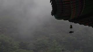 Rain falls on the eaves, and 99% of people follow it night rain sounds for sleeping, relaxing rain