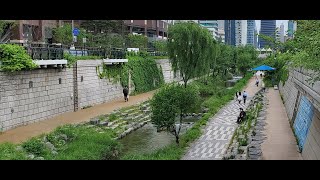 The beautiful Cheonggye Stream(청계천, Cheonggyecheon, 淸溪川), Jongno, heart of Seoul, Korea by USAHF 28 views 11 months ago 11 minutes, 16 seconds