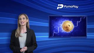 PumaPay News - Settlement Layer Explained