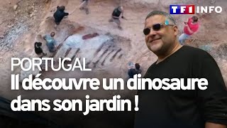 Cet homme découvre un squelette de dinosaure dans son jardin