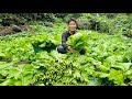 Harvesting Green Vegetables Goes market sell - Build house for cat - Solo Survival