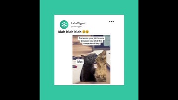 Tag your Co-workers! 😆