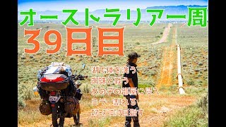 【豪州一周#21】旅人は女の子の家に泊まれるのか!?