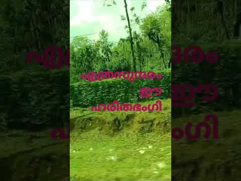 ماشاء الله ما اجمل هذه الخضراء