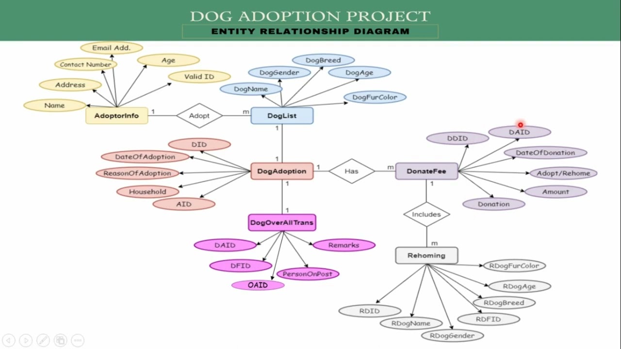 DATABASE DESIGN ER DIAGRAM DOG ADOPTION PROJECT YouTube DATABASE DESIGN ER DIAGRAM DOG ADOPTION PROJECT YouTube