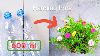 Cara Terbaru Menanam Bunga Krokot Pada Pot Gantung 600 ml