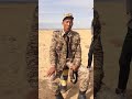 Халагдах цэргийн дуу 