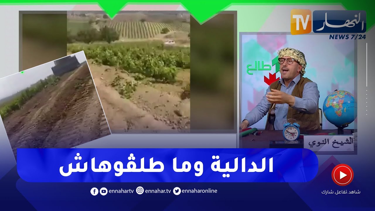 طالع هابط: قطعة أرض فلاحية بالعاصمة توجه لبناء العمارات.. والشيخ النوي ينتفض