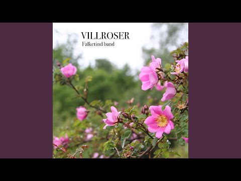 Video: Vilken frostskyddsmedel är rosa?