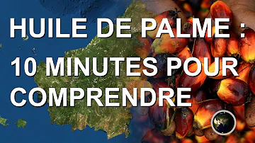 Pourquoi l'huile de palme est mauvaise pour la planète ?