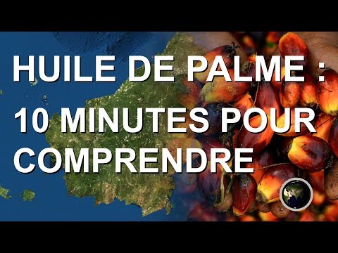 Vidéo: Qu'est-ce qui est mauvais dans l'huile de palme ?