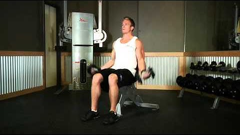 Biceps   Seated Dumbbell Inner Biceps Curl   Exercises Guide!   Live Health Club