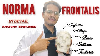 NORMA FRONTALIS Explained | Skull Anatomy Simplified with Sutures, Bones and Key Features