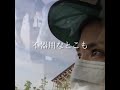 Takaのドライフラワーがうますぎる