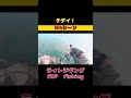 【チダイ】 #shorts #チダイ #sup #fishing #gter #釣り #ライトジギング #goodtimeencounter