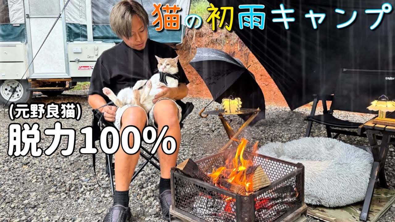 あきにゃんページ ASUS×Noctua共同開発のGeForce RTX 4080 SUPERが発売、“実質5スロット