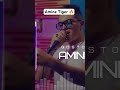 Amine tiger #Live