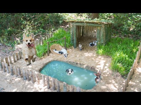 Survival Builder: Rescues Five Wild Puppies Lost Mum Building House And Pool