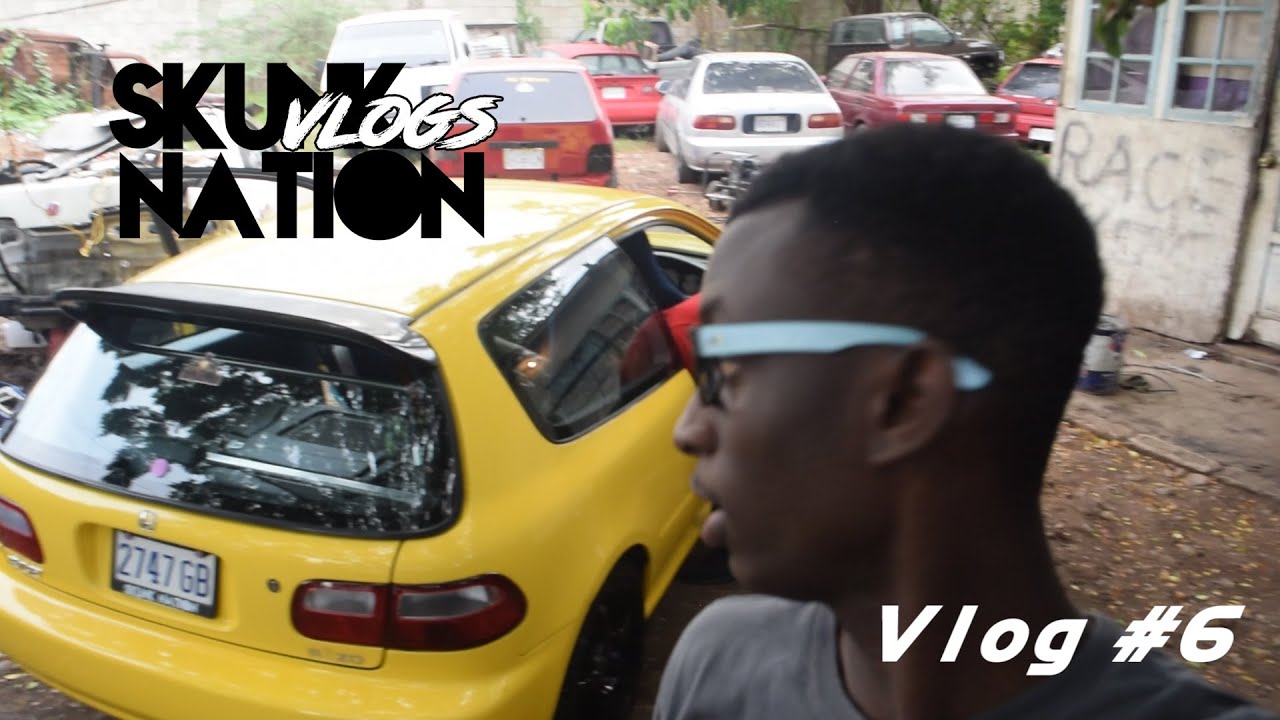 RETURN OF THE PINEAPPLE SKVNK!!-SkunknationVlog #6