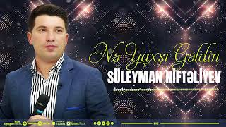 Suleyman Nifteliyev - Ne Yaxsi Geldin 2024  Resimi