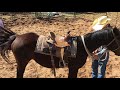 Ten year old Trace Barrett starting a colt.