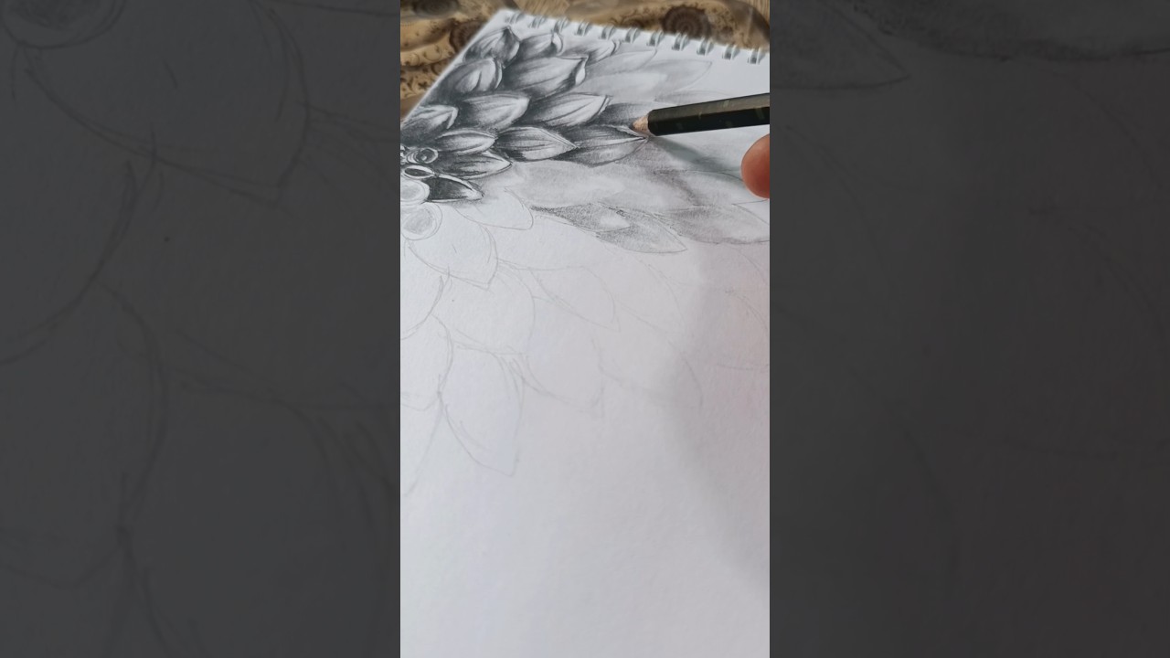 Graphite flower drawing 