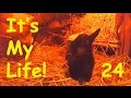 Василиса родила! РОДЫ У КОЗ. Это моя жизнь в деревне! It's My life,24