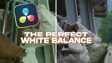The SECRET to PERFECT White Balance in DaVinci Resolve #creativecontentcreator #davinciresolve