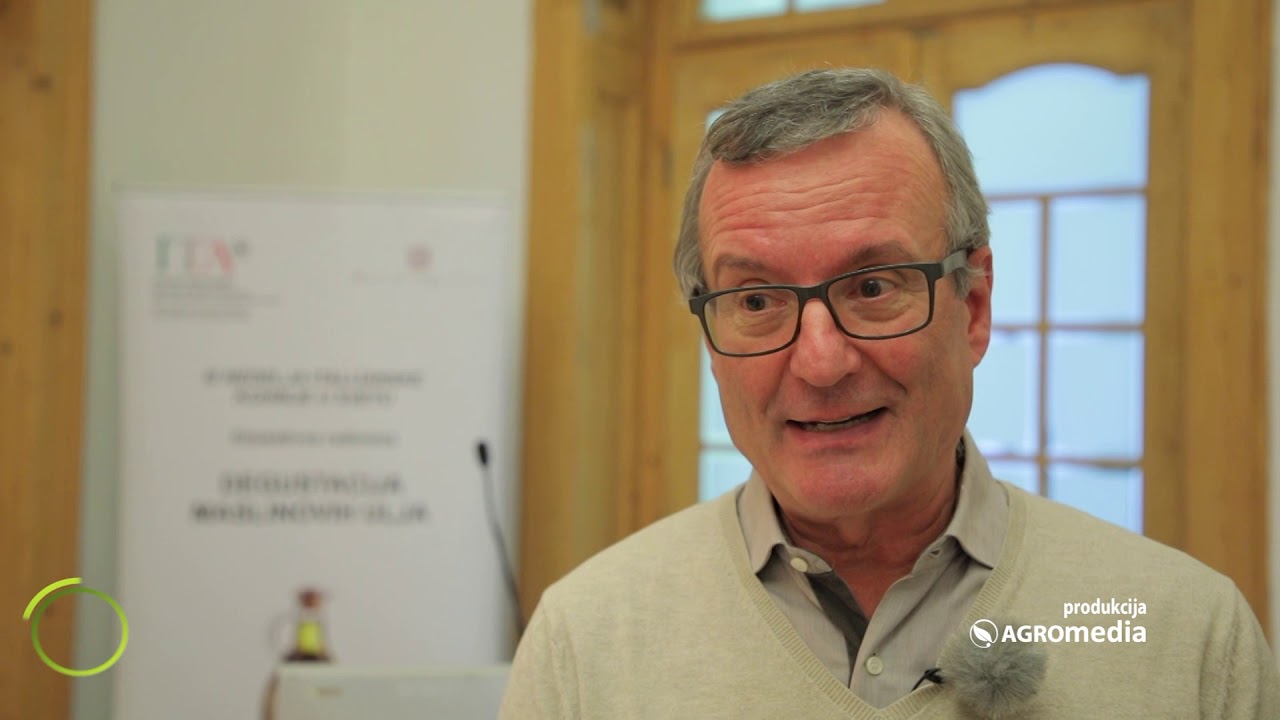 Po čemu se poznaje kvalitetno maslinovo ulje?