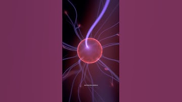 Plasma matter | #science #sciencefacts #intrestingfact