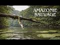 AMAZONIE SAUVAGE La Vie Et La Mort Dépendent Des Prédateurs Ultimes DOCUMENTAIRE ANIMALIER AMAZONIE SAUVAGE La Vie Et La Mort Dépendent Des Prédateurs Ultimes DOCUMENTAIRE ANIMALIER