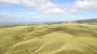Overview Surveying - Aerial Photography and Spatial Data Acquisition