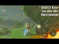 The EASIEST Way To Keep the One-Hit Obliterator in the Legend of Zelda Breath of the Wild!