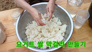 요거트 쌀 막걸리 만들기/변비.비만 탈출