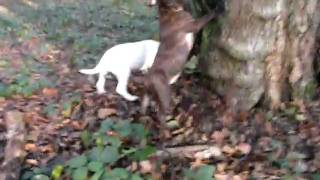 Albrig Et Power 10 12 2009 2