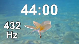 Celebrity 44 Minute Timer - Countdown - Clock Timer Wealth