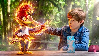 A Boy Befriends the World’s Most Mischievous Super Bird!