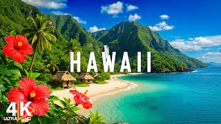 ミュージック DS455 / Playa's Choice Video Clips mqdefault.jpg