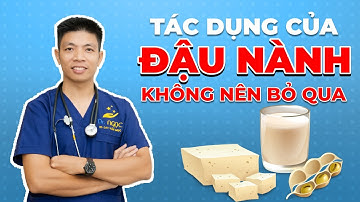 Tác Dụng Của Đậu Nành Đối Với Sức Khỏe Bạn Không Nên Bỏ Qua | Dr Ngọc