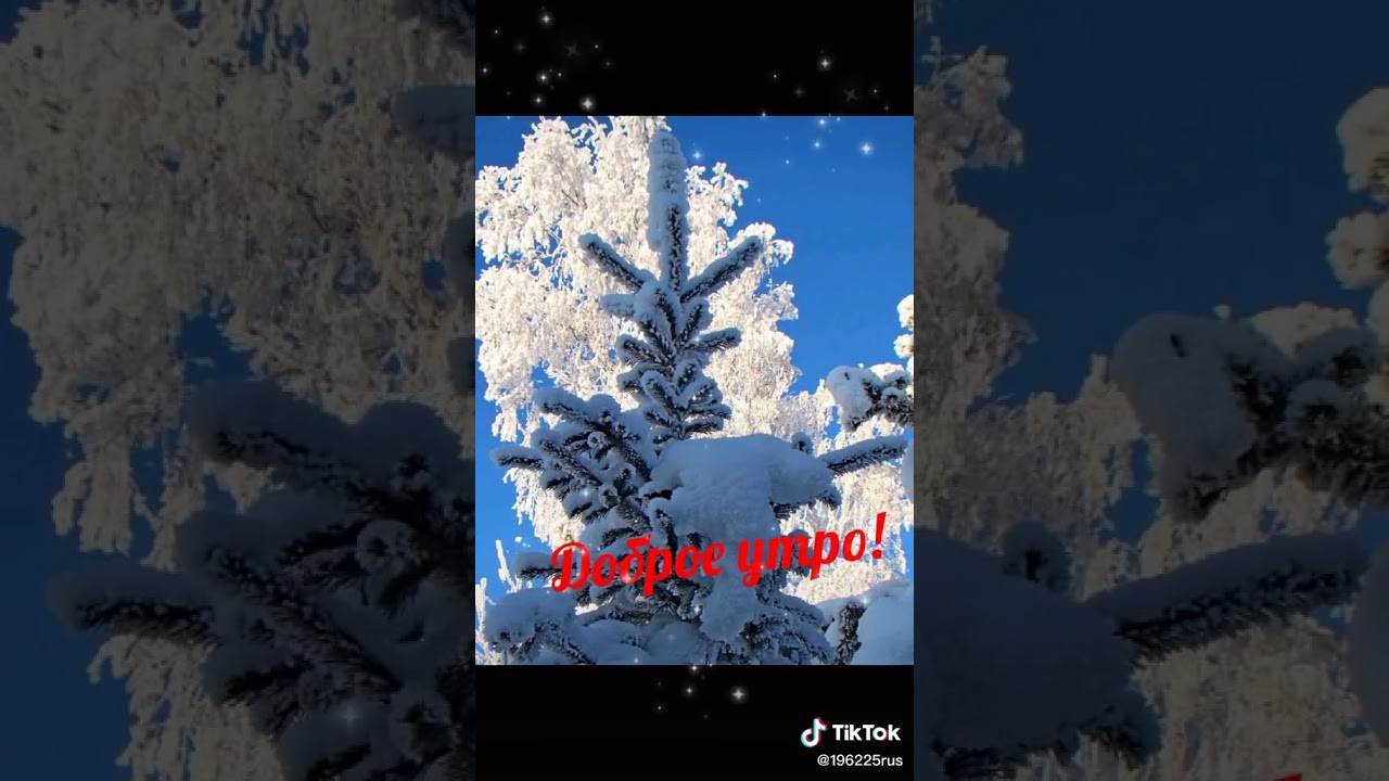 Тик Ток Про Новый Год Видео Тик Ток Про Новый Год Видео
