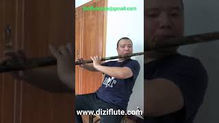 Huge Bass D key 8 finger holes 2 membrane holes dizi flute sound test (Who want to challenge?)