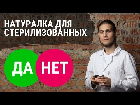 Можно ли натуралку стерилизованным кошкам и собакам? Объясняет ветеринар Дмитрий Русаков.