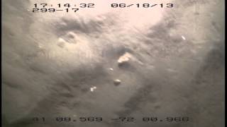 13005_DVD2_10_299-17.m4v