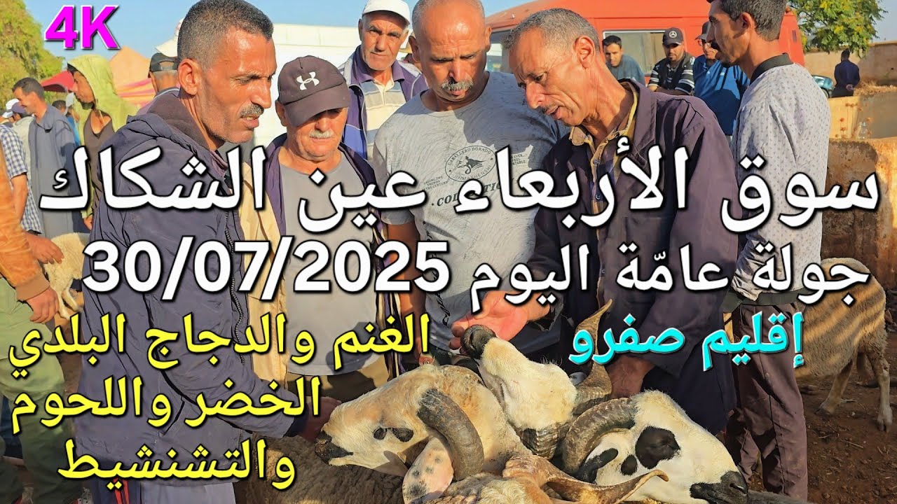 أثمنة الغنم والدجاج واللحوم والخضر سوق عين الشكاك اليوم الأربعاء 30/07/2025